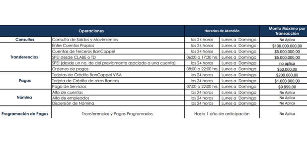 Cuánto tiempo tarda en reflejarse una transferencia por Bancoppel horarios 